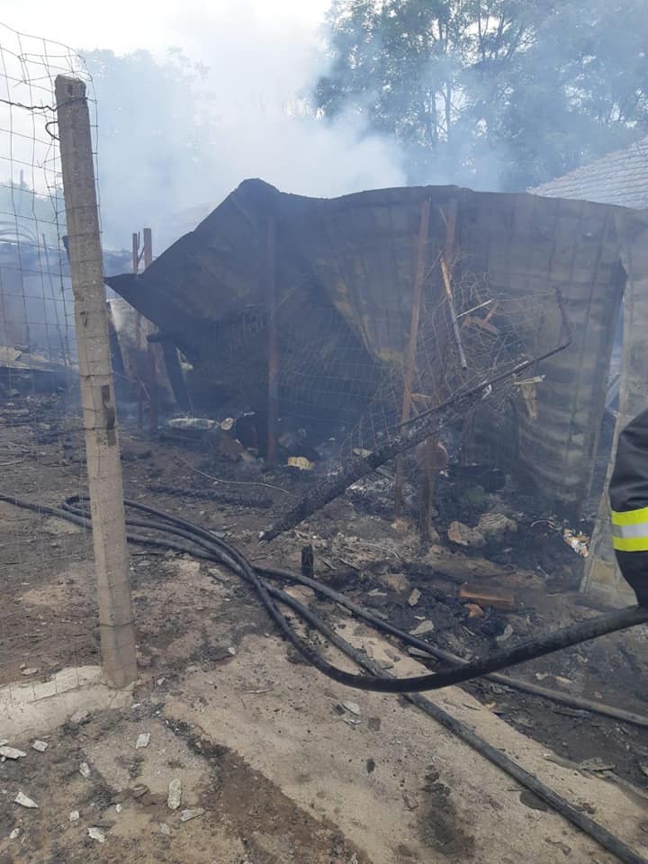 114714067 318398812881513 39750512139631841 n